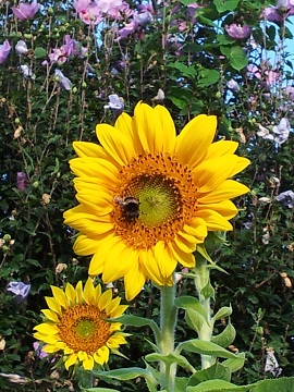 2011-09-16 06.59.28