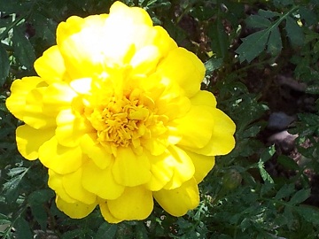 2011-09-15 10.31.54