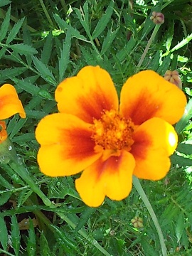 2011-09-15 10.33.32