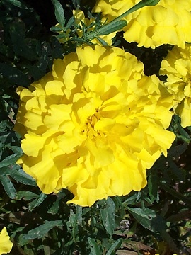 2011-09-15 10.37.28
