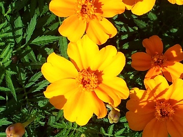 2011-09-15 10.36.59