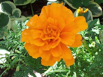2011-09-15 10.32.21