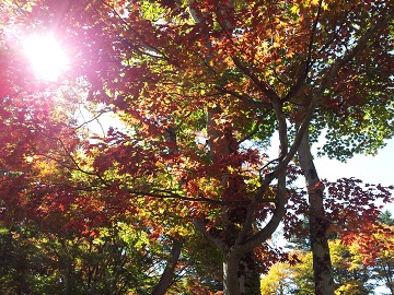 2011-10-16 11.30.31