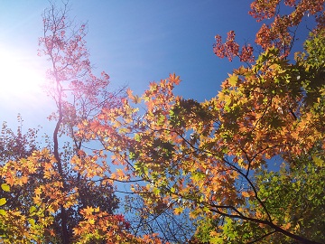 2011-10-16 12.56.35