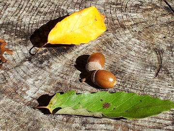 2011-10-16 13.37.08