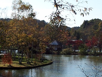 2011-10-16 14.40.59