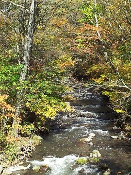 2011-10-16 12.54.58