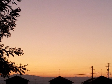2011-10-19 17.24.15