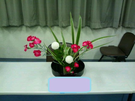 20111024_000913.jpg