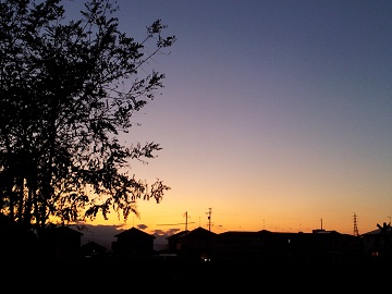 2011-10-26 17.18.01