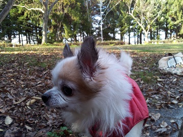 2011-11-10 14.24.24