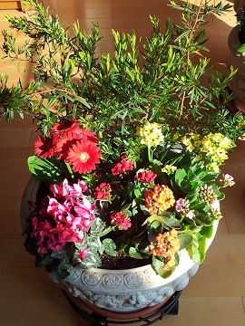 2011-11-14 13.45.42