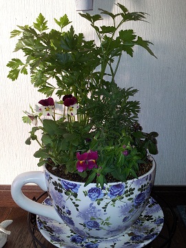 2011-11-13 07.39.07