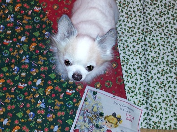 2011-11-24 07.48.43