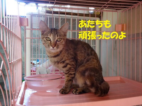 イオ