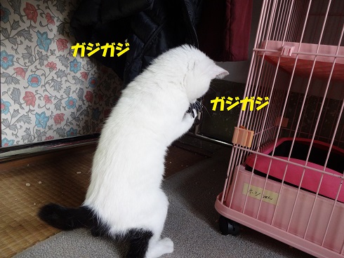 うしまる5