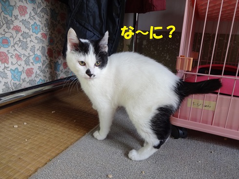 うしまる6