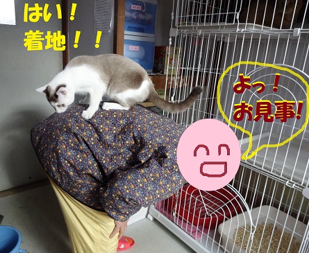 ジョエル