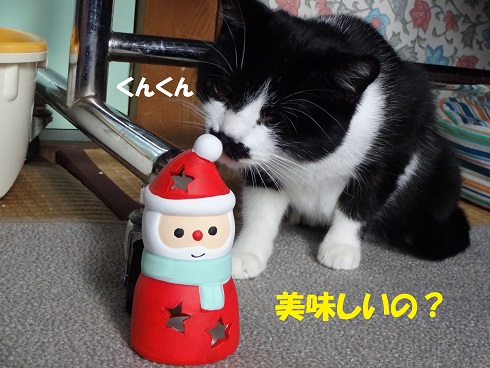 ほし2