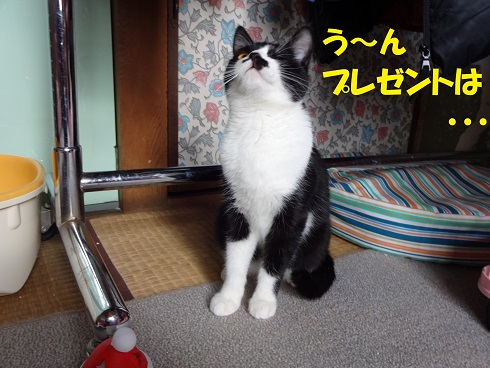 ほし3