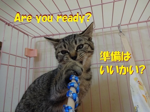 グリコ