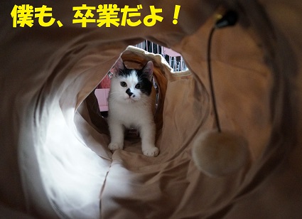 うしまる1