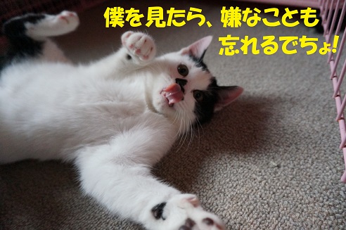 うしまる4
