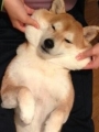 20131127-2.jpg