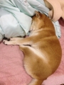 20131127.jpg