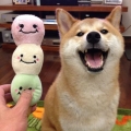 20131220-9.jpg