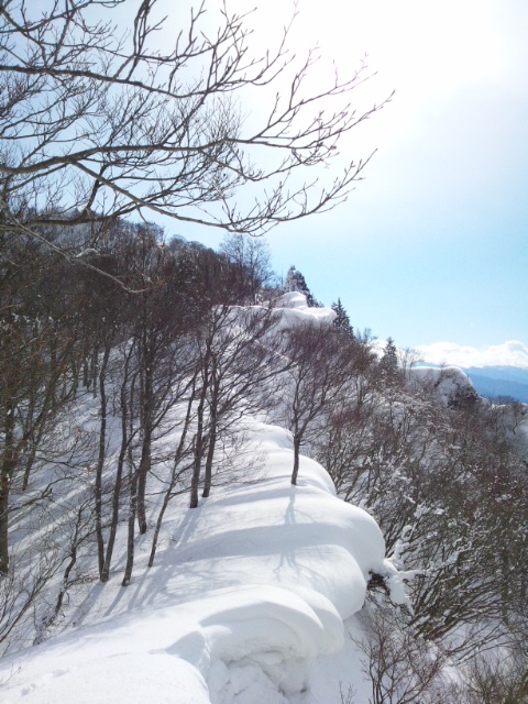 雪っぴ