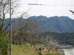 DSCN2287.jpg