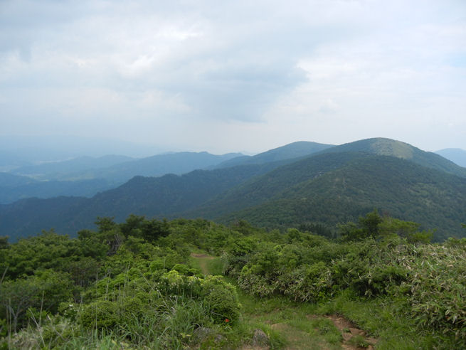 DSCN2591.jpg