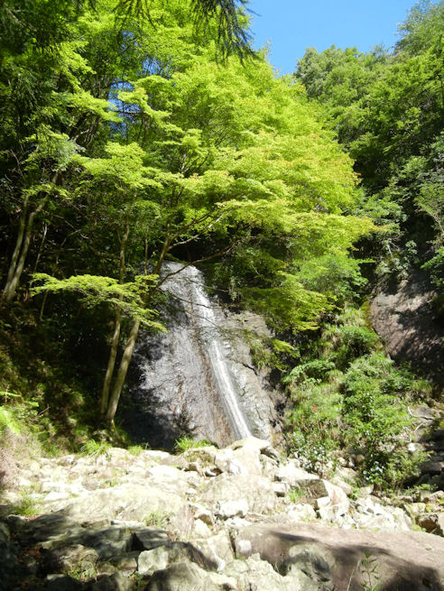 DSCN2629.jpg