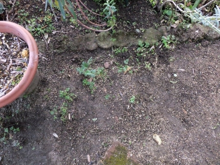 2014-01-26_13.jpg