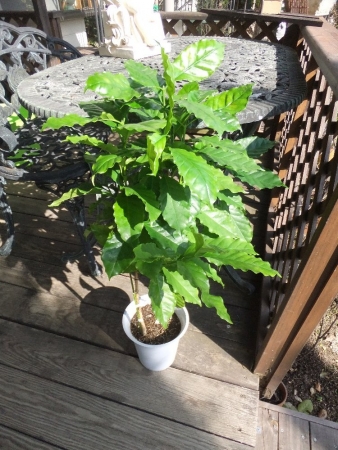 2014-01-28_21.jpg