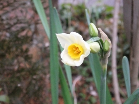 2014-01-28_47.jpg
