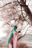 senbonzakura001_20131203220951f71.jpg