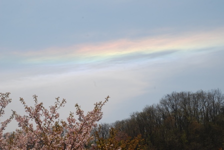 DSC_0076.jpg