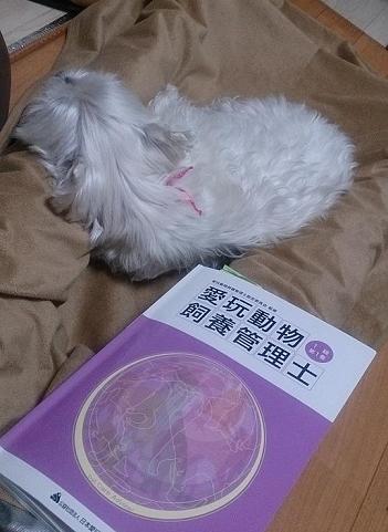 試験勉強