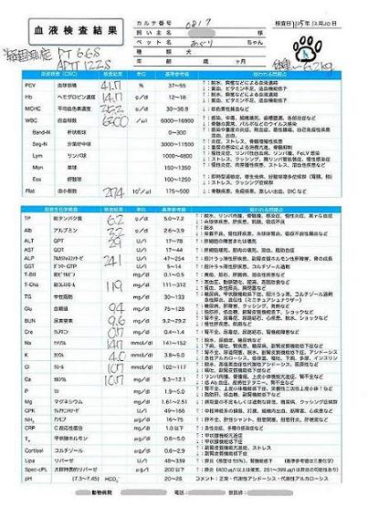手術前血液検査