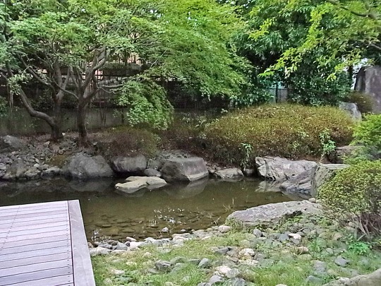 RIMG0562_edited.jpg