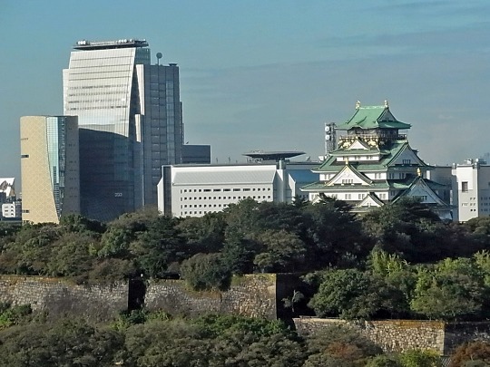 RIMG0665_edited_20111025191041.jpg