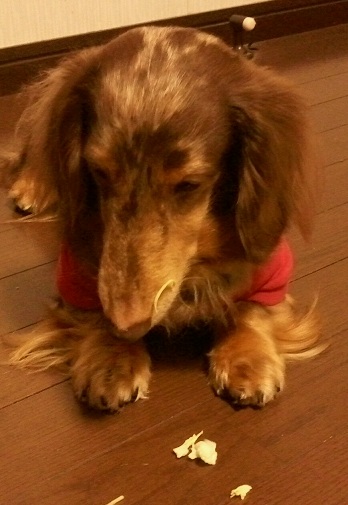 120309_215023.jpg