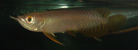 DSCF0046.jpg
