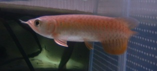 DSCF0187.jpg