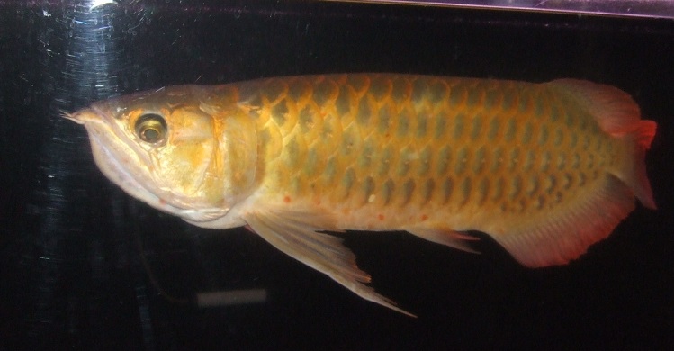 DSCF0615.jpg