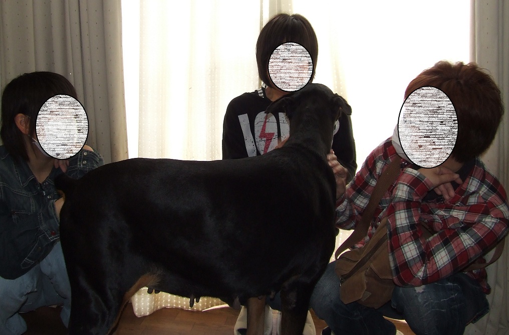 DSCF0960.jpg