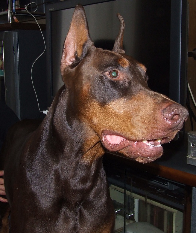 DSCF0962.jpg