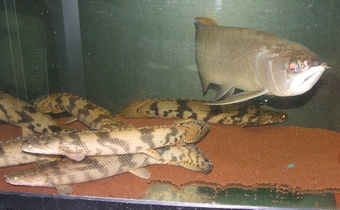 DSCF1071.jpg